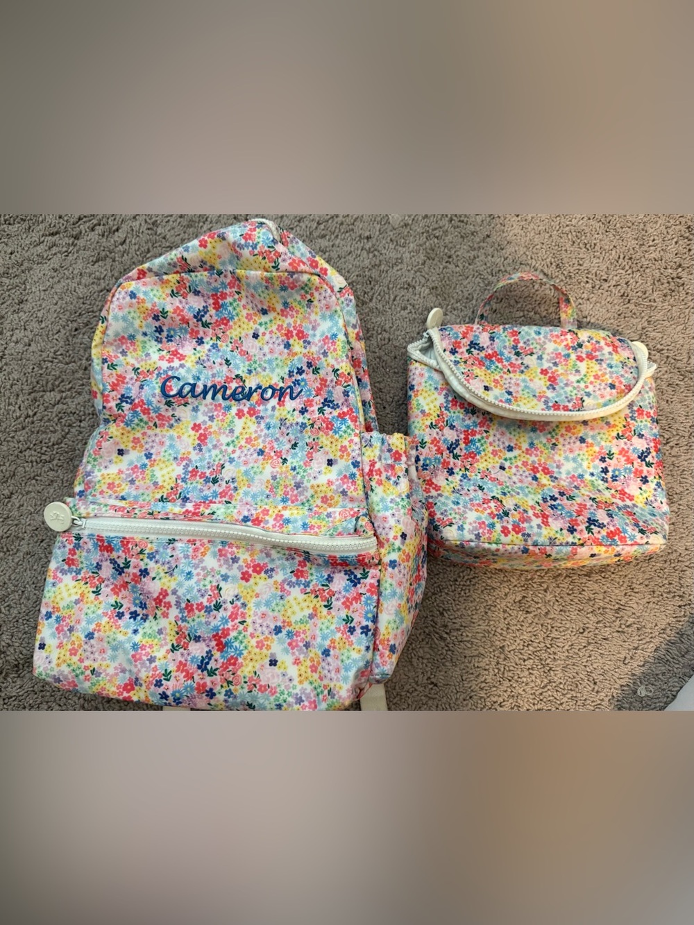 Trvl “Cameron” backpack and lunchbox
